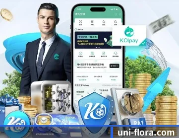 乐竟网页 APP 深度功能