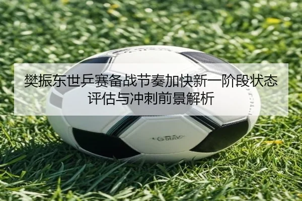 樊振东世乒赛备战节奏加快新一阶段状态评估与冲刺前景解析