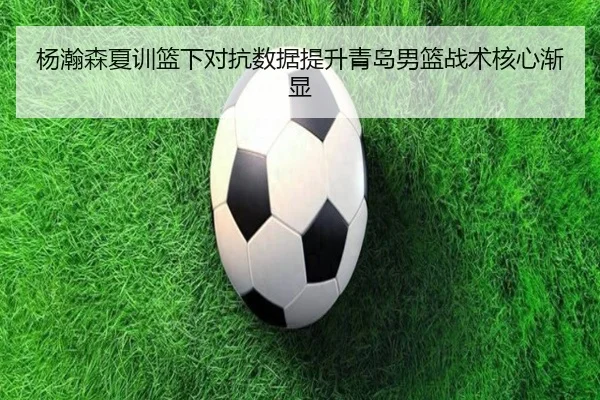 杨瀚森夏训篮下对抗数据提升青岛男篮战术核心渐显