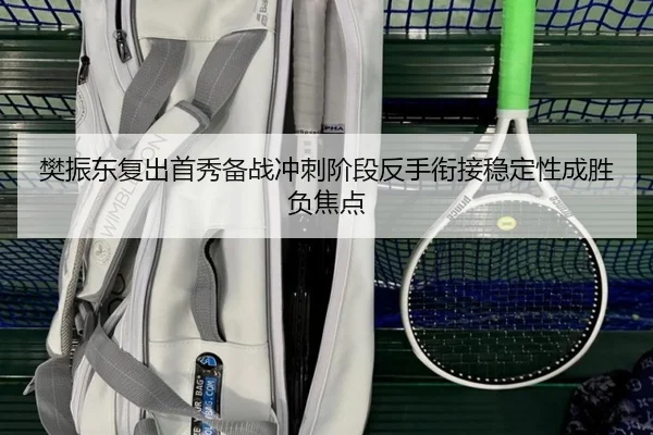 樊振东复出首秀备战冲刺阶段反手衔接稳定性成胜负焦点
